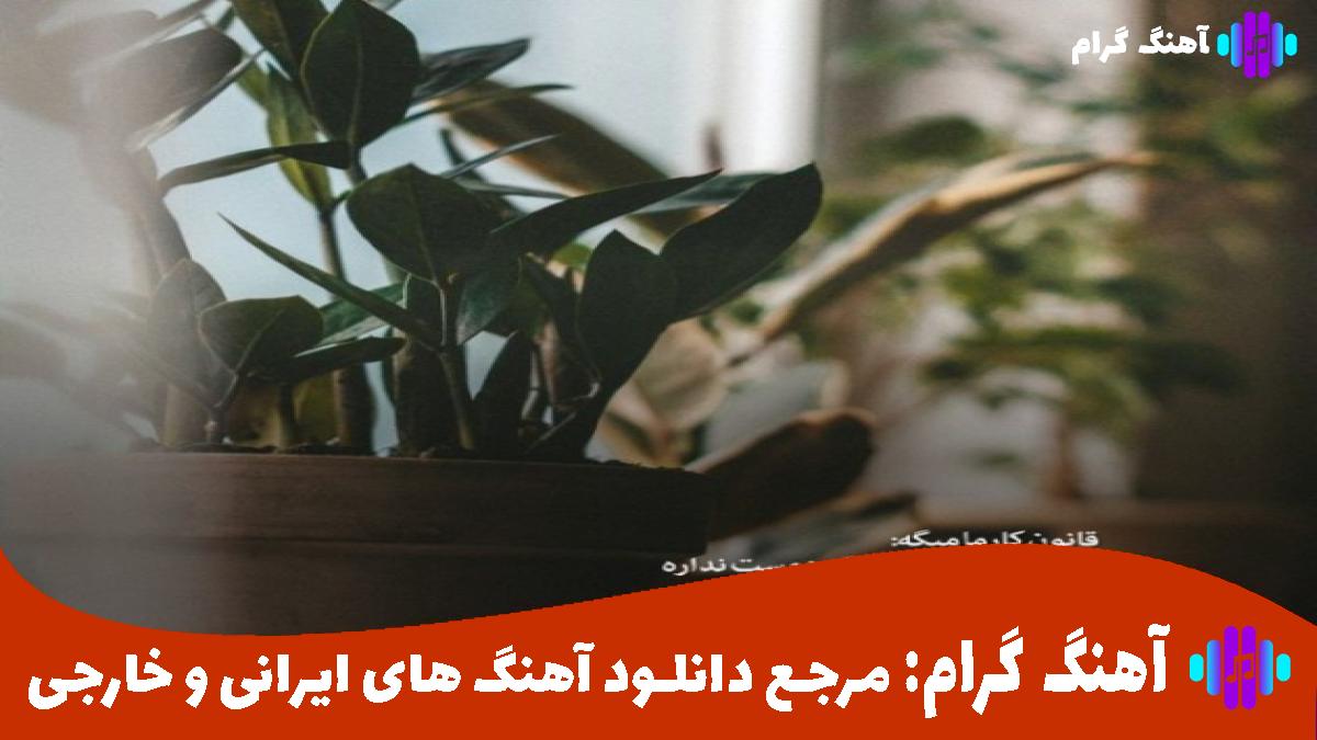 کاور آهنگ بنشین با ناز در کنج دلم خانه کن از هایده و مرتضی پاشایی